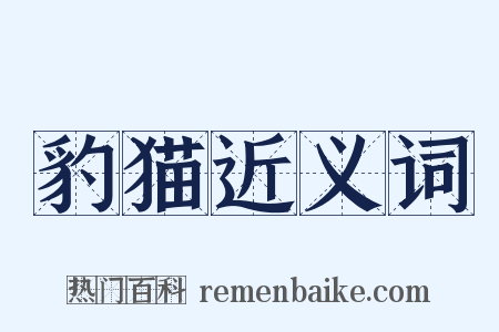 豹猫近义词是什么意思的图片